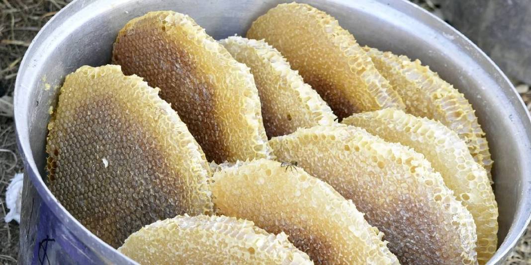 3 kere dünya birinciliği aldı! Meşhur balda hasat devam ediyor: Kilosu 3.000 TL’den yoğun talep görüyor 5